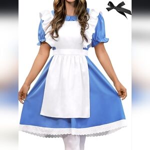Alice in Wonderland adult costume